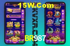 Experiência VIP BR987